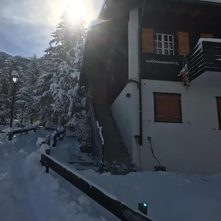 Appartement Waidmannsheil Mit Schoener Aussicht Grächen Extérieur photo