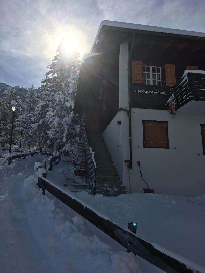 Waidmannsheil Mit Schoener Aussicht